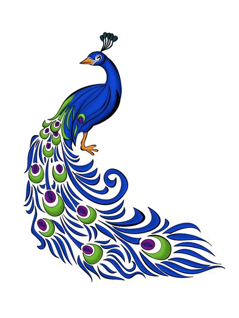 peacock vector|free images of peacocks.